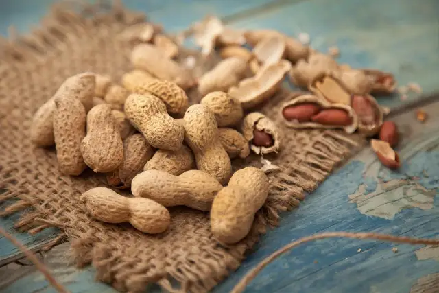 Czy pies może jeść orzeszki ziemne? Bezpieczeństwo i zasady podawania