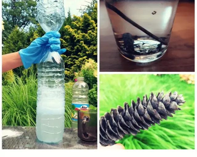 Eksperymenty z wodą i lodem: proste doświadczenia dla dzieci, które zaskoczą