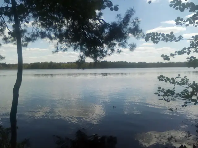 Jezioro Czarne Sosnowickie: Ucieknij od zgiełku! Pełny przewodnik