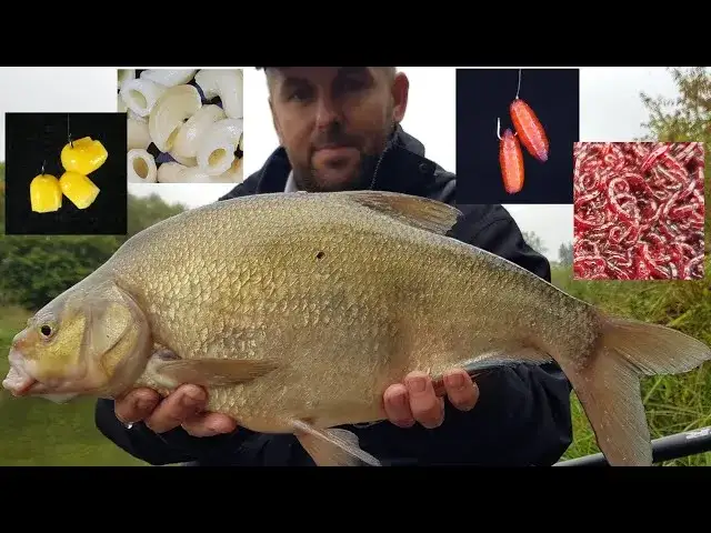 Skuteczne zanęty zawodnicze na leszcza, które przyciągną ryby