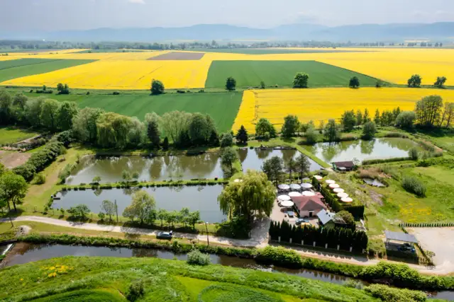 Trzeboszowice łowisko: najlepsze miejsce na udane wędkowanie z rodziną