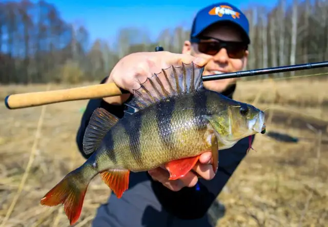 Jak skutecznie łowić ryby z użyciem twister przynęta – porady i modele