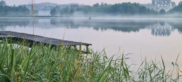 Poranna mgła nad zalewem w Janowicach. Drewniany pomost i trzciny na pierwszym planie, na wodzie mała łódka.