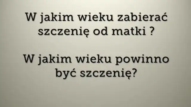 Ile szczeniak powinien być przy matce, aby uniknąć problemów zdrowotnych?