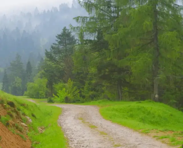 Rezerwat przyrody Zaskalskie-Bodnarówka - unikalne miejsce do odwiedzenia