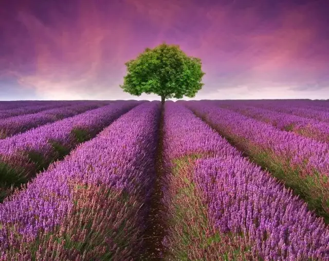 Jakie kraje warto zwiedzić w Europie – odkryj niezwykłe miejsca