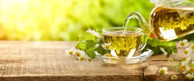 Jakie herbaty przy refluksie mogą złagodzić Twoje objawy?