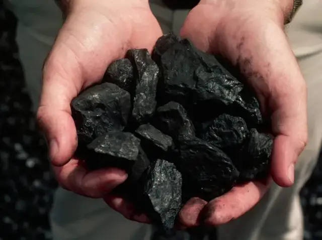 Skąd się wziął węgiel? Poznaj tajemnice jego powstawania