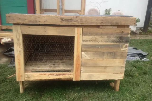 Jak zrobić drzwiczki do klatki dla królików i zapewnić im bezpieczeństwo