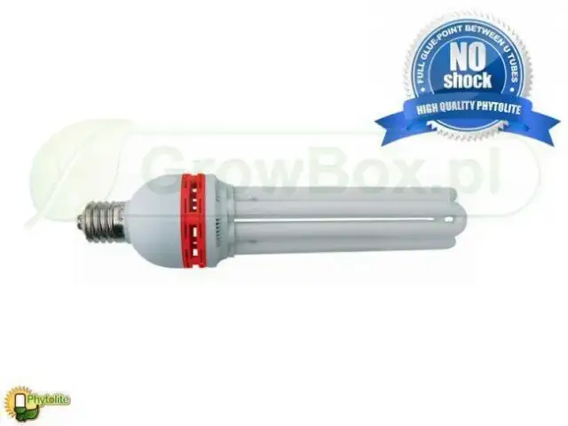 CFL żarówka - dlaczego warto wybrać ją zamiast tradycyjnych żarówek?