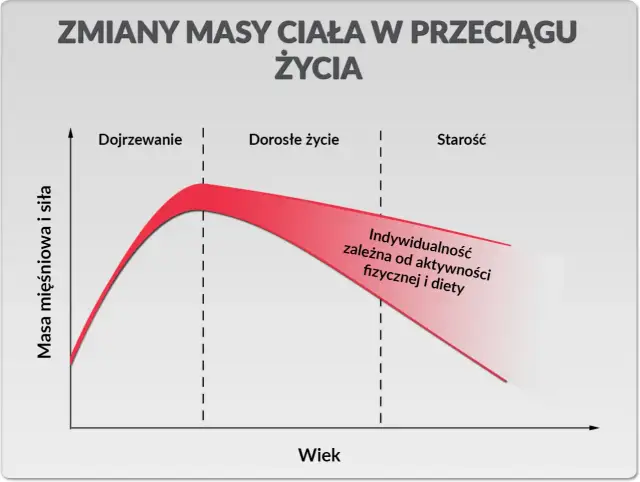 Ile białka dziennie przy treningu? Twój plan na masę i redukcję