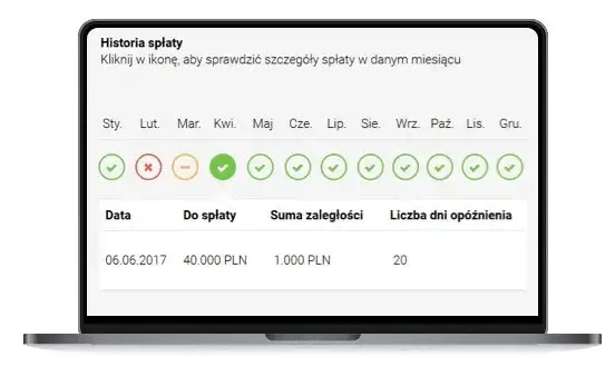 Czy Provident jest widoczny w BIK? Sprawdź, co to oznacza dla Ciebie