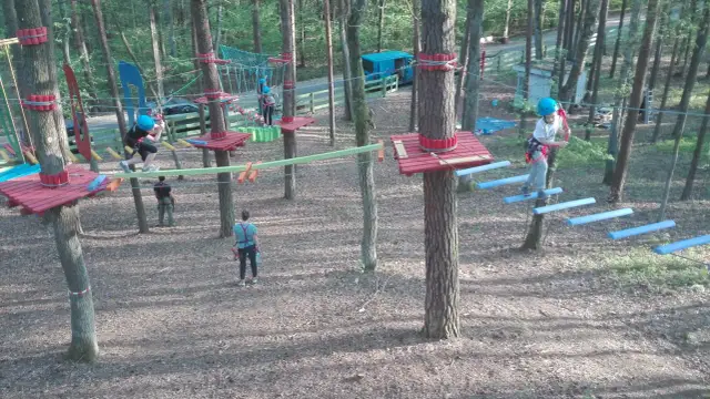 Park Linowy Zalesie Górne: Trasy, Ceny, Bezpieczeństwo Rodzinna Przygoda!