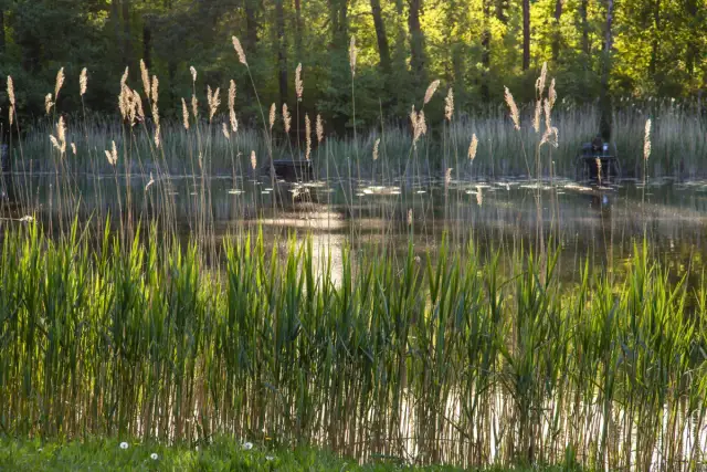 Jezioro Ciemino: piękne miejsce na wędkowanie i relaks w naturze