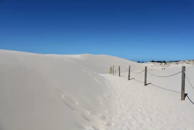 Jak powstały ruchome wydmy w Łebie? Historia, sekrety, porady