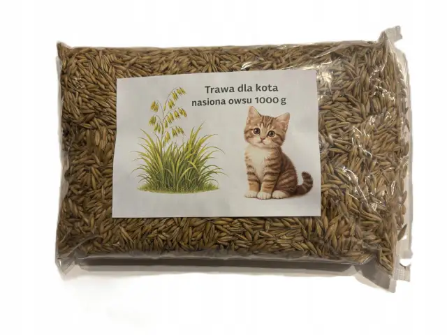 Owies dla kota: Bezpieczny dodatek? Sprawdź, zanim podasz!