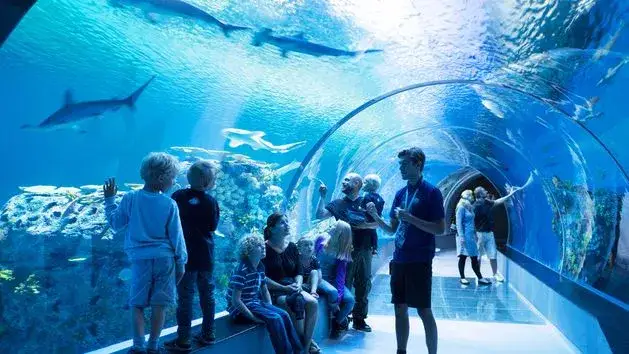 Oceanarium Bydgoszcz - co warto zobaczyć i dlaczego nie przegapić