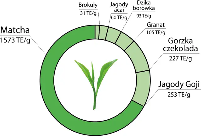 Matcha pobudza? Odkryj sekret spokojnej energii i uniknij zjazdu