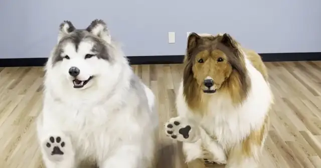 Realistyczny pluszowy pies: jak wybrać idealnego przyjaciela?