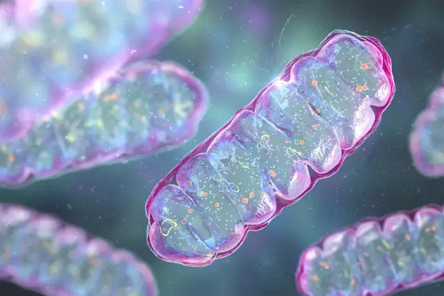 Rak to setki chorób: Dlaczego nie ma jednego leku?