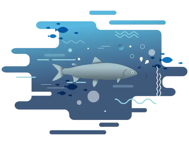 Jakie ryby łowi się w Bałtyku? Odkryj najlepsze gatunki do połowu