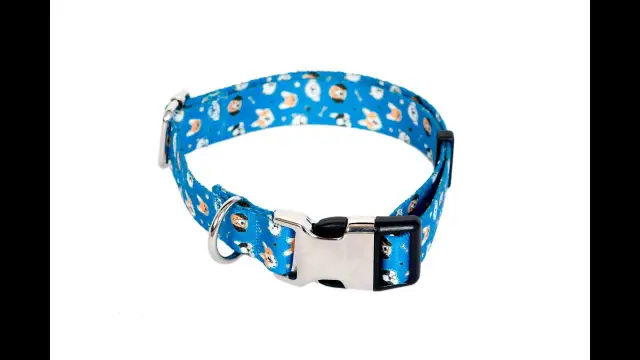 Obroża dla psa DIY: Stwórz bezpieczną i unikalną obrożę!