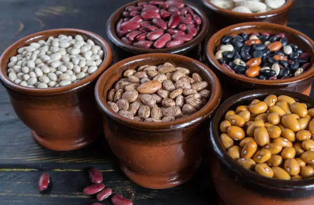 Czy fasola jest dietetyczna? Odkryj jej niesamowite właściwości zdrowotne