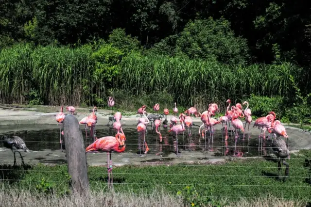 Ostrawa: Atrakcje na weekend? Odkryj industrialne perły!