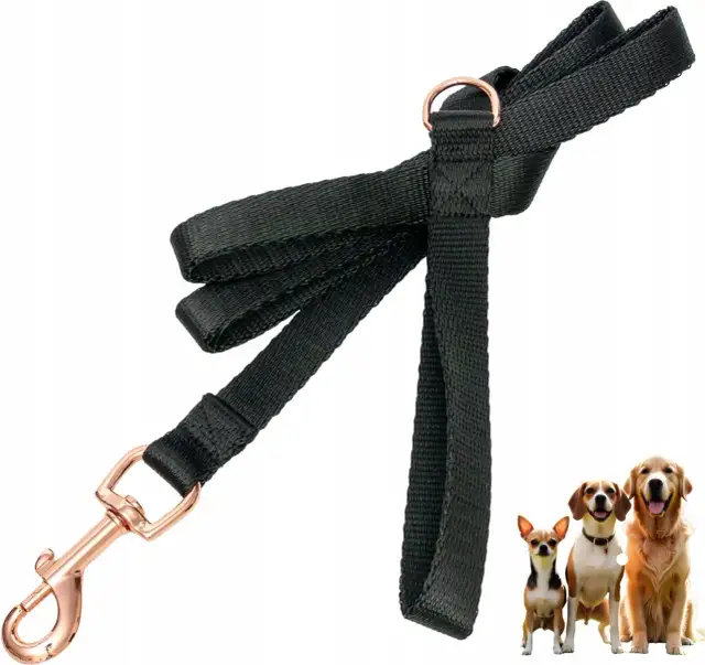 Smycz dla psa, który ciągnie? Wybierz mądrze i spaceruj spokojnie