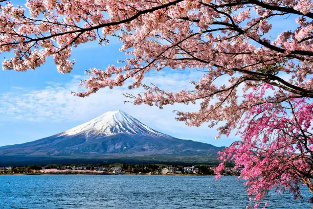 Kiedy najlepiej jechać do Japonii, aby uniknąć tłumów i cieszyć się pięknem natury