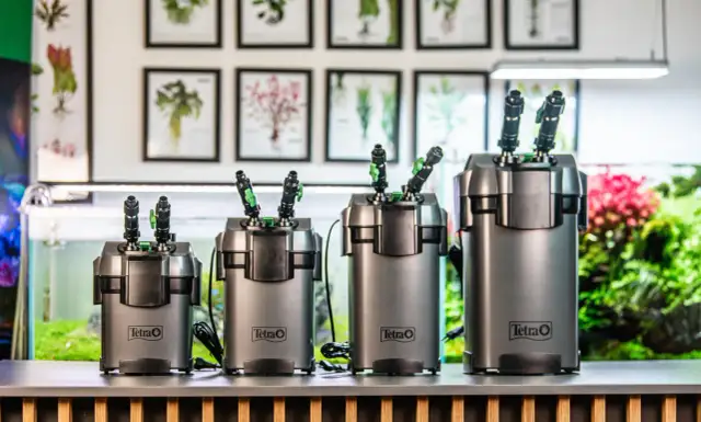 Jaki filtr do akwarium: wybierz najlepszy dla swojego zbiornika