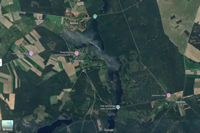 Widok satelitarny jeziora i otaczających je lasów, pól i zabudowań.