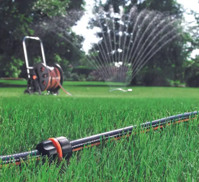 Ile minut podlewać trawnik zraszaczem? Sprawdź wskazówki eksperta