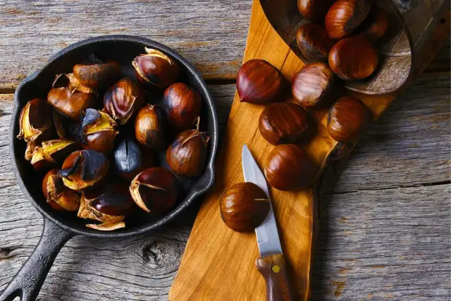 Kiedy jest sezon na kasztany jadalne? Sprawdź najlepszy czas na zakupy