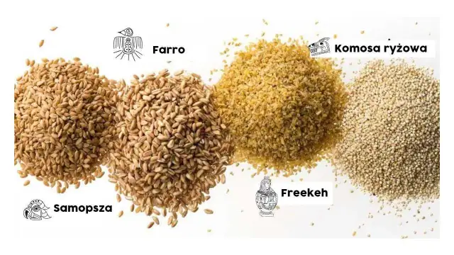 Jakie zboże dla gęsi zapewni im zdrowie i dobrą kondycję?