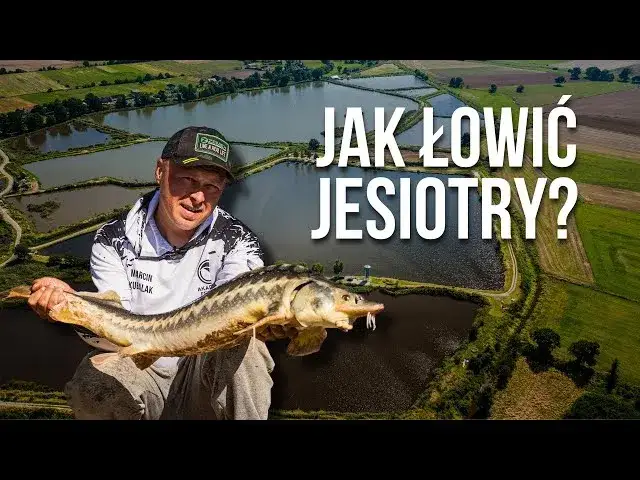Najlepsza przynęta na jesiotra – unikaj błędów i łów skutecznie
