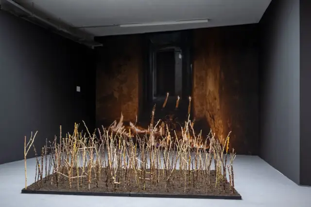 Muzeum sztuki współczesnej Wrocław - odkryj fascynujące wystawy i wydarzenia