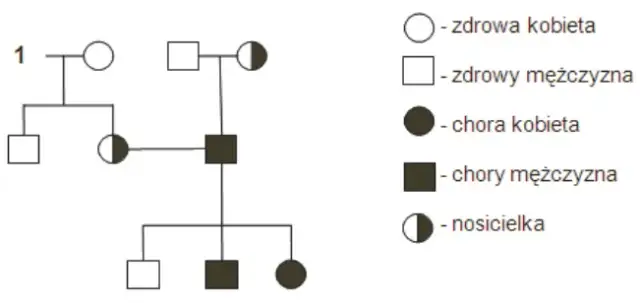 Daltonizm: Czy jest dziedziczny? Wyjaśniamy genetykę i prawdopodobieństwo