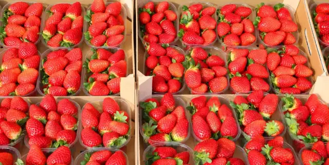 Sezon na truskawki kiedy się kończy - nie przegap ostatnich dni!