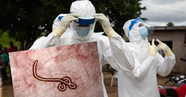 Wirus Ebola w którym roku został odkryty i co to oznacza dla nas