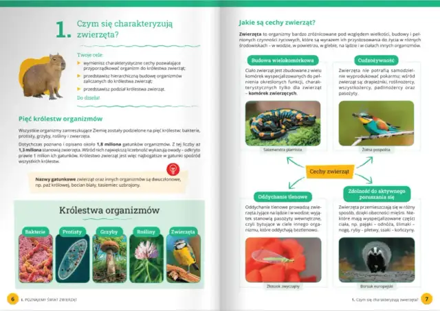 Od której klasy jest biologia? Kluczowe informacje dla rodziców i uczniów