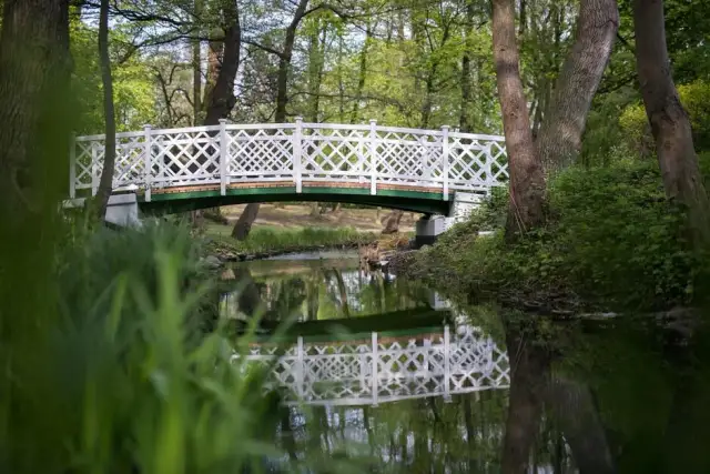 Najlepsze atrakcje w Jelitkowie, które musisz zobaczyć podczas wizyty