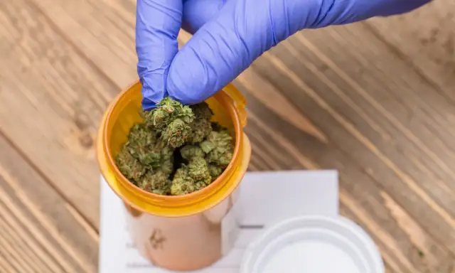 Jak zdobyć medyczną marihuanę w Polsce? Przewodnik krok po kroku