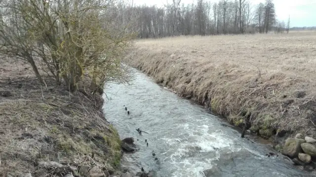 Kiedy zaczyna się sezon wędkarski? Sprawdź daty i regionalne różnice