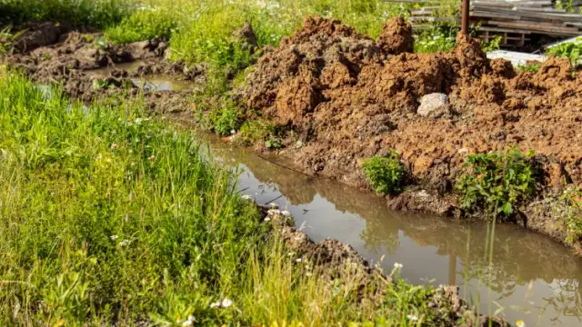 Jak znaleźć wodę na działce - skuteczne metody i porady praktyczne