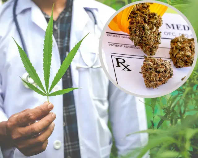 Kilogram marihuany w Polsce: Cena, ryzyko i legalna alternatywa