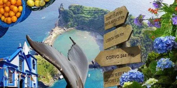 Przewodnik po najciekawszych trasach i miejscach na Azorach