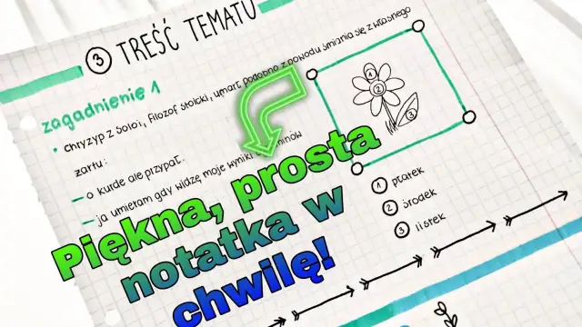 Jakie zeszyty do liceum wybrać, aby uniknąć chaosu w notatkach?