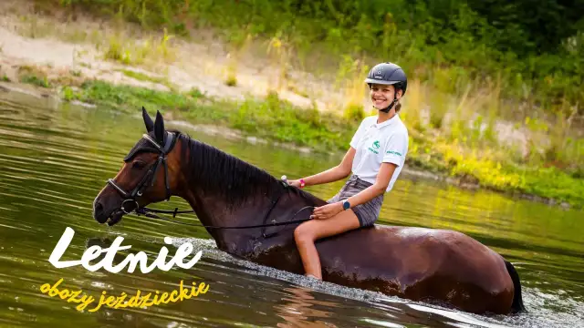 Obozy jeździectwa naturalnego: harmonia z koniem i wakacje marzeń?