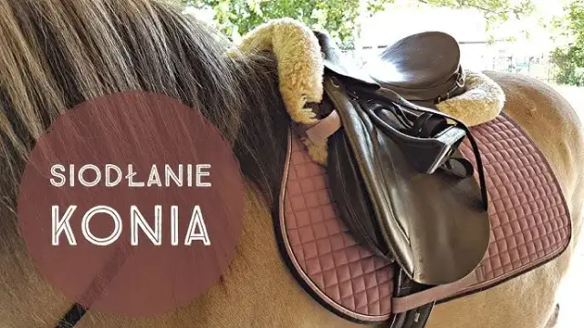 Jak osiodłać konia: uniknij błędów i zapewnij komfort zwierzęciu
